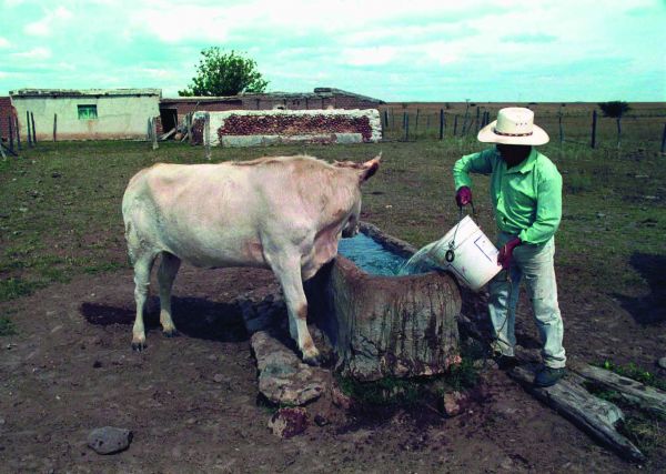 El Estado de México es sexto lugar a nivel nacional en esta situación. ARCHIVO