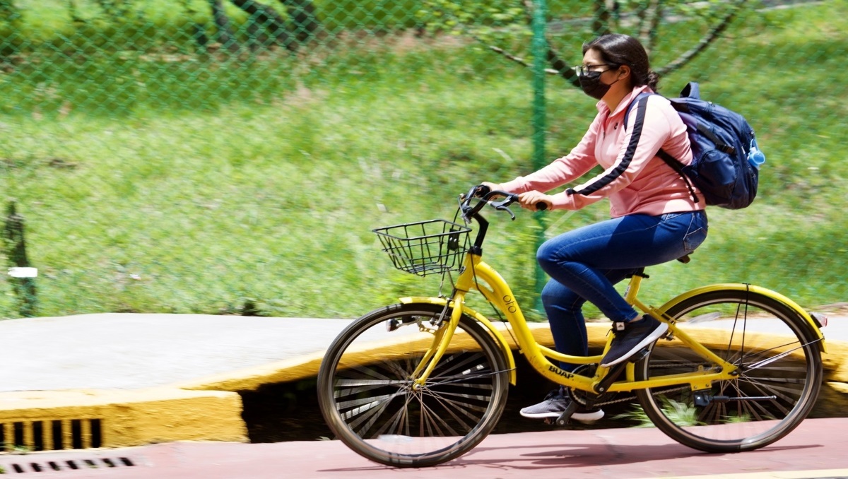 Crece 20 por ciento el uso de Lobobici en la BUAP | Especial