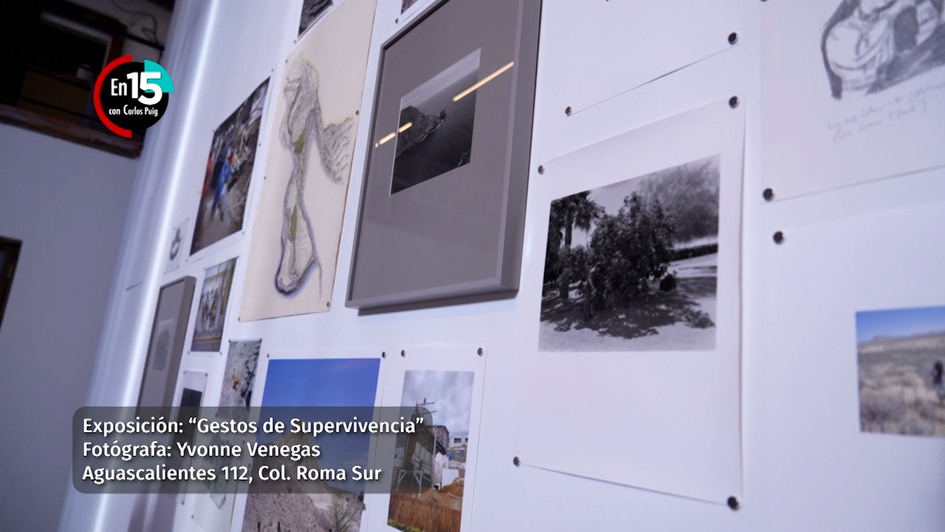 "Gestos de Supervivencia", una exposición de Yvonne Venegas | En 15