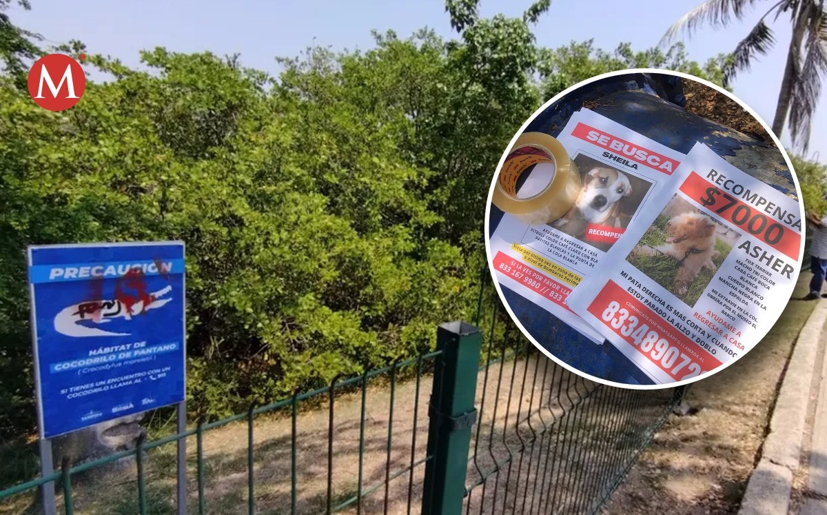 Realizan operativo de búsqueda para localizar a dos perros en Tampico