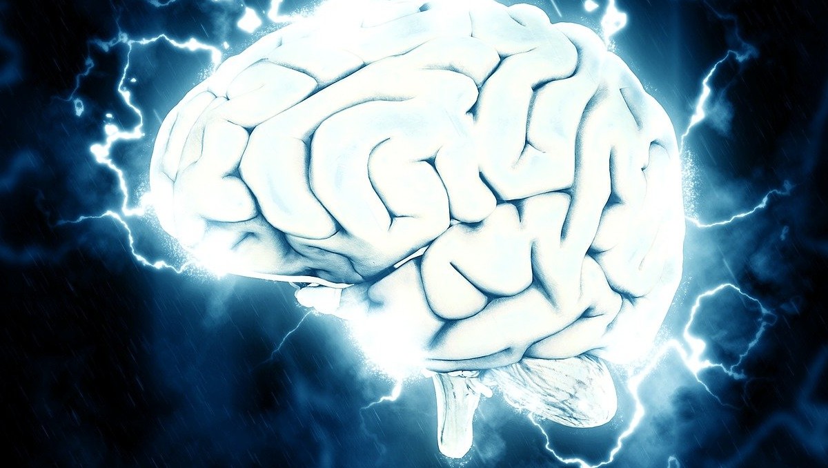 Cerebro : Pixabay