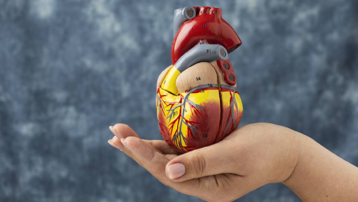 Corazón