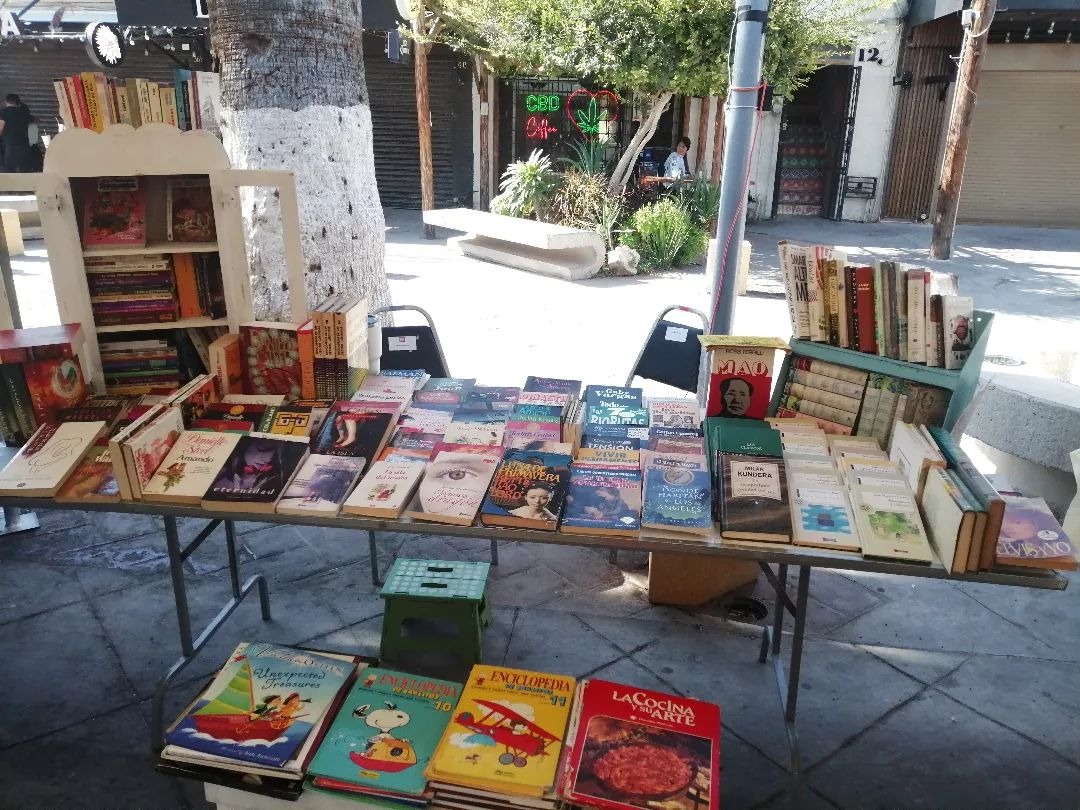 A su librería ambulante le ha llamado “Momento de leer”. (Especial)