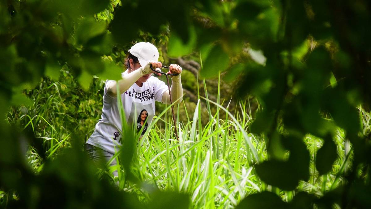 | (Cuartoscuro, imagen ilustrativa)