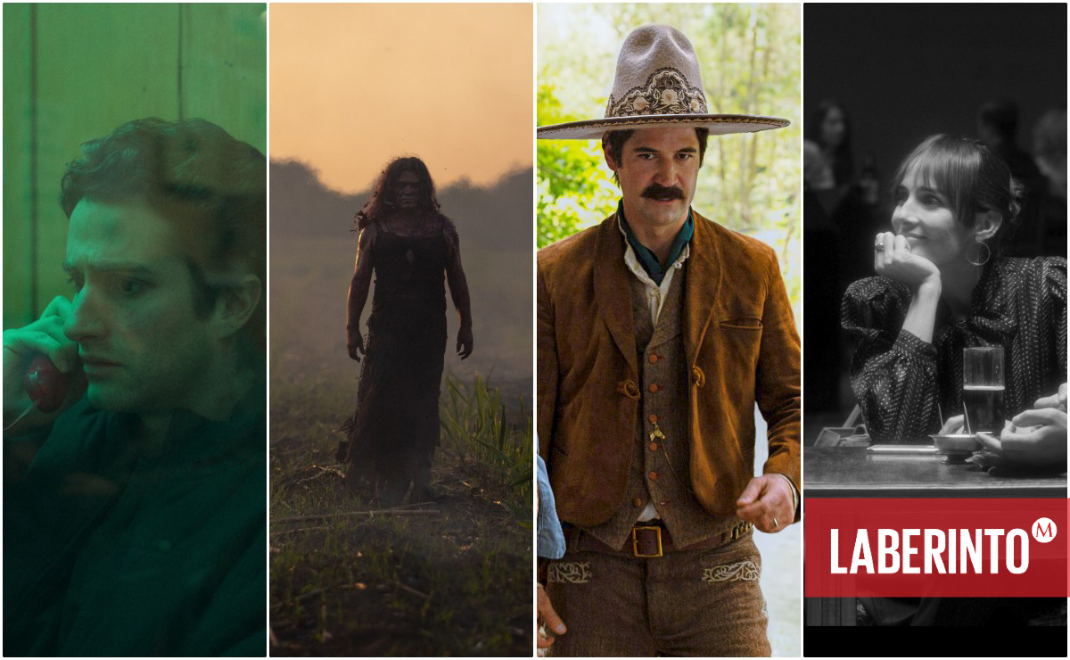 Los realizadores acuden con entusiasmo a la literatura mexicana contemporánea y clásica. (Cortesía: Netflix, IMDb)