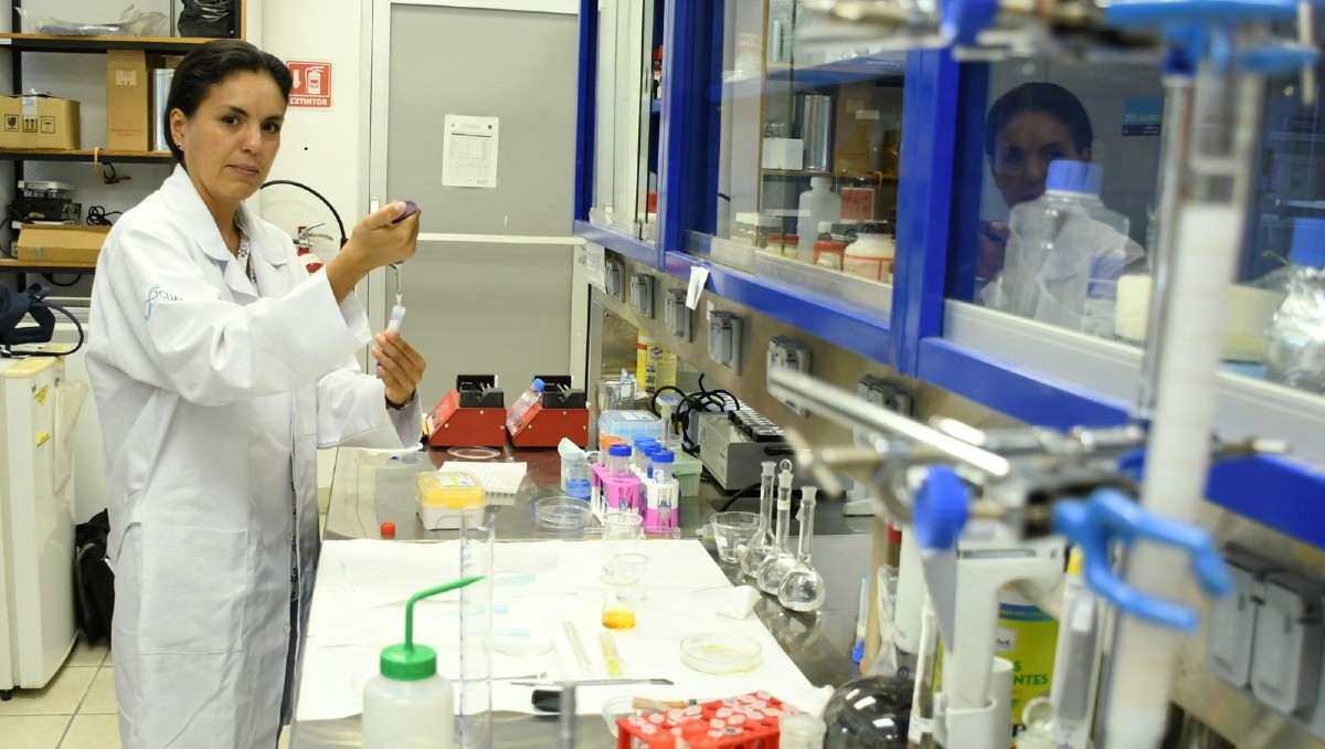 BUAP investiga la aplicación de nanomedicinas en el tratamiento contra el cáncer | Jaime Zambrano