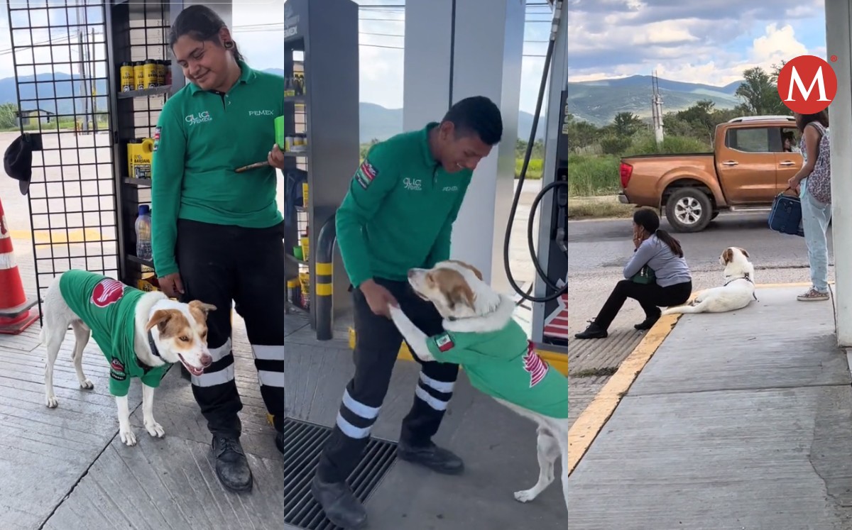Mailo el perro de una gasolinera se vuelve viral en TikTok