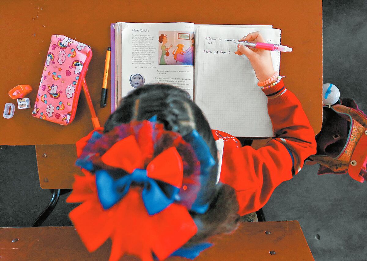 Tarda uno en inteligirse, peor aún si le faltan las herramientas. Especial