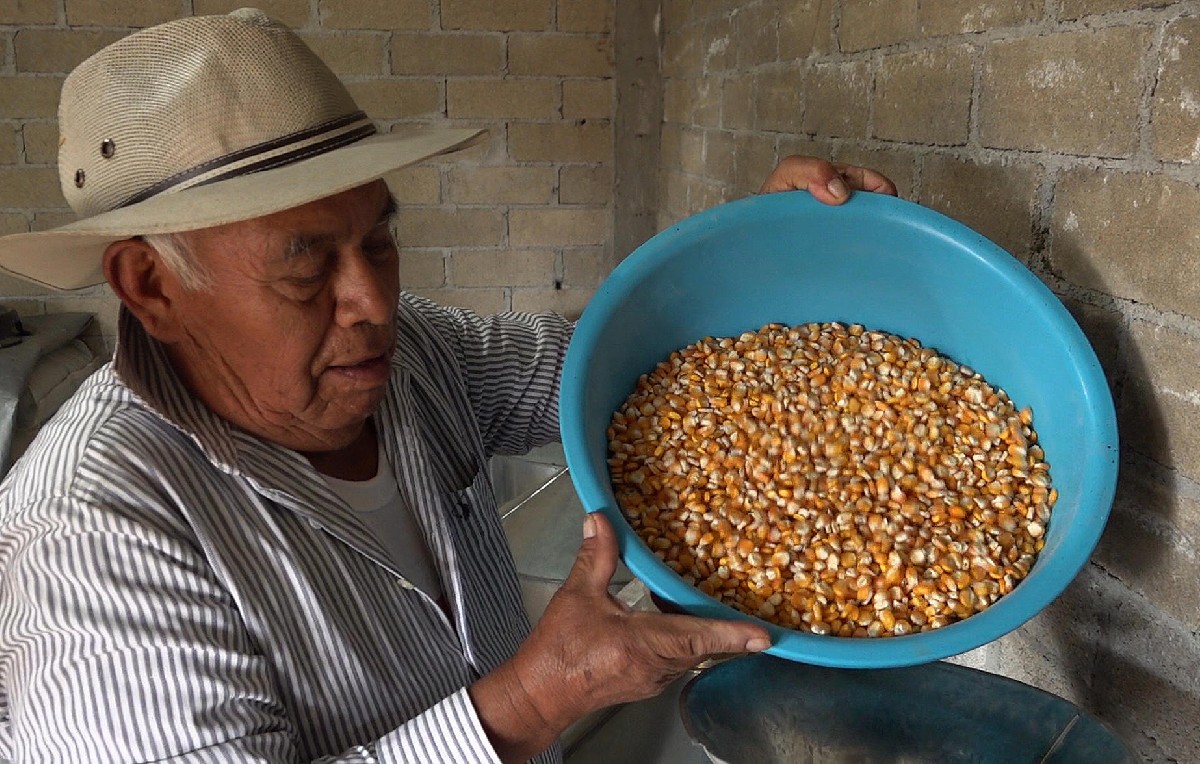 Campesinos en Oaxaca con cosechas de maíz (EFE)