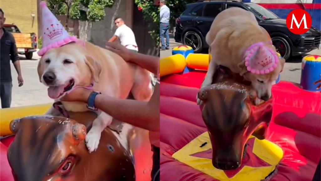 "Frida vaquera en su cumpleaños", se puede leer en la descripción del video.