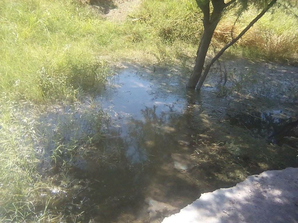 Fuga de agua en San Pedro.