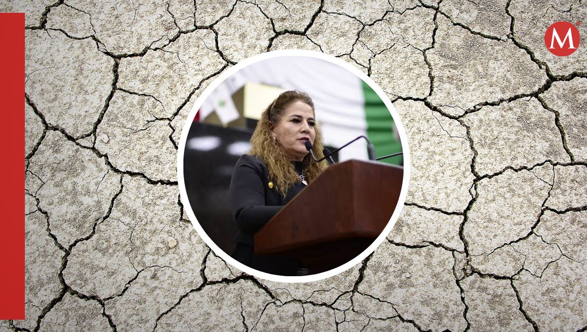 La intención es obtener recursos extraordinarios para mitigar los efectos que ha dejado este fenómeno climatológico.