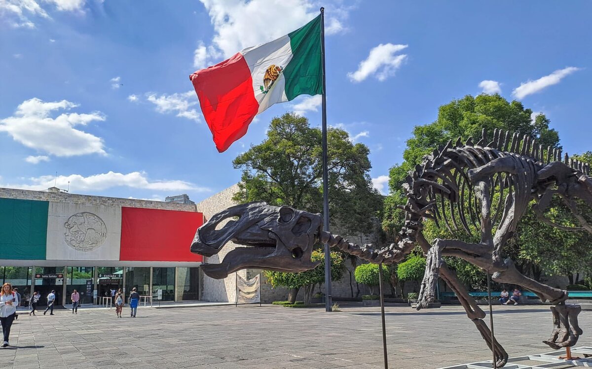 Coahuila participará en la FILAH, con la historia de los hallazgos realizados en el 2000 en Sabinas. | Cortesía