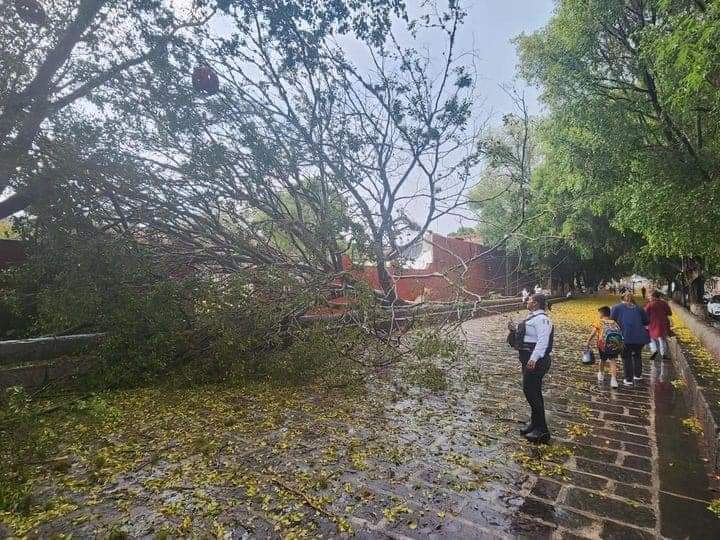 Inundaciones y daños en Morelia debido a la tormenta tropical "Lidia" | Elizabeth Guzmán