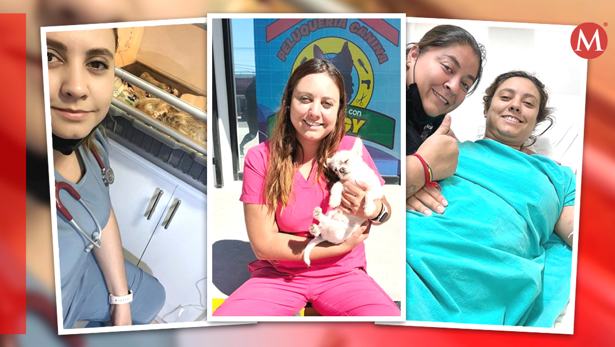 Alejandra Garibay es una médico veterinario quien destaca por ayudar a perros callejeros en Saltillo. | Especial