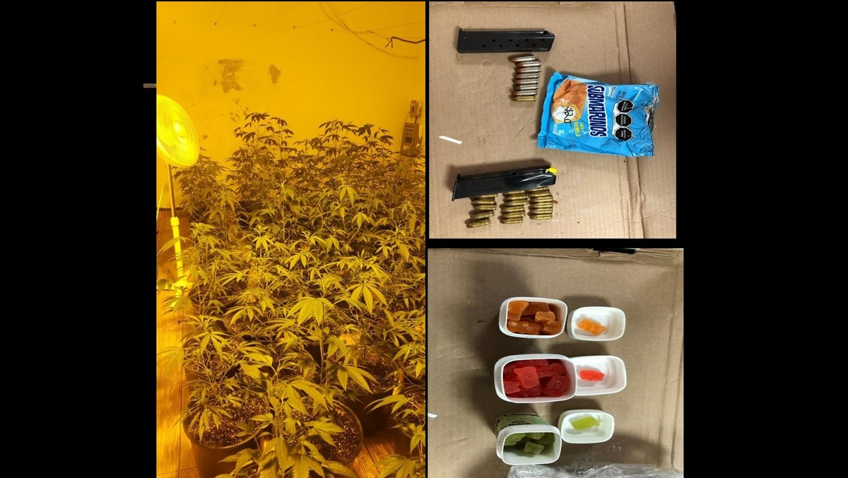 Aseguran cartuchos y droga. (Especial)