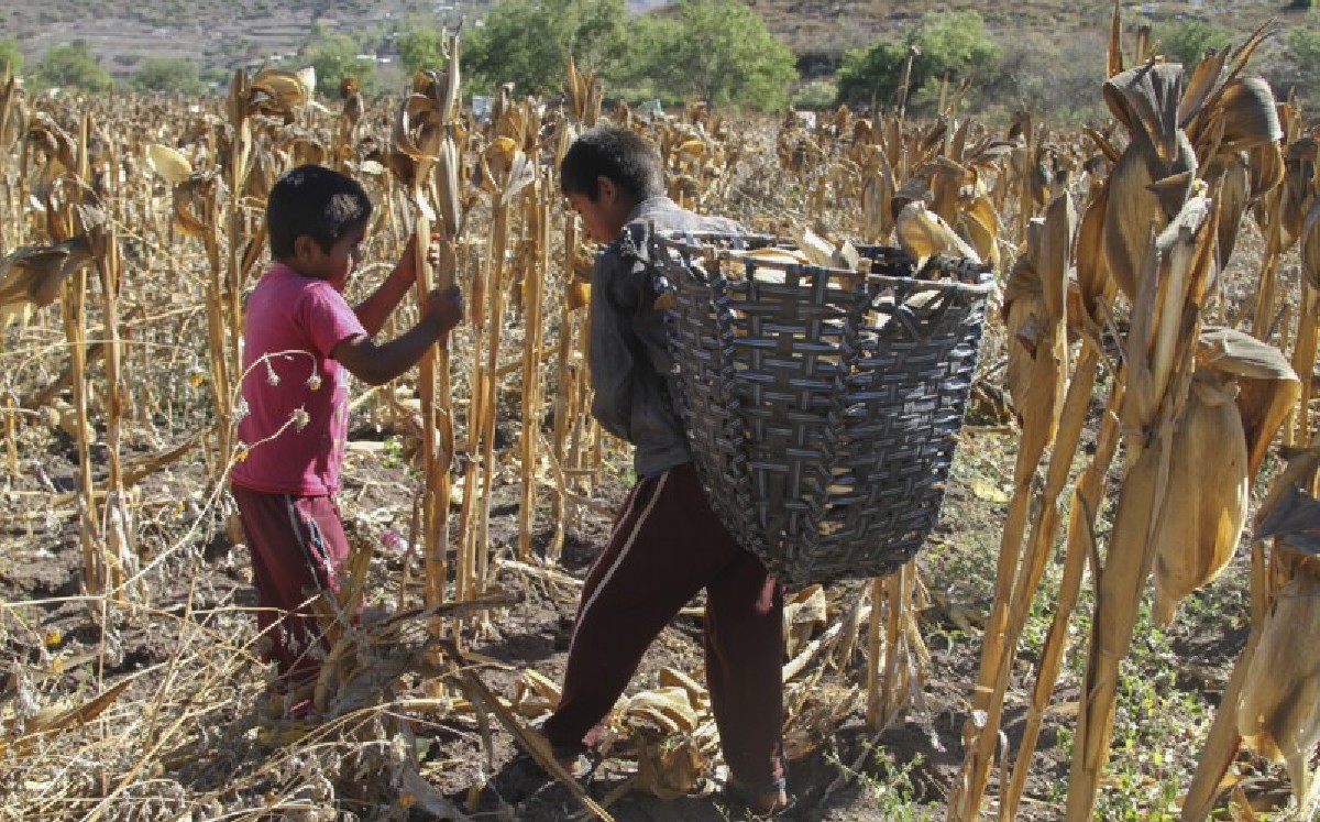 Se suma Concamin a red global contra el trabajo forzoso en el país