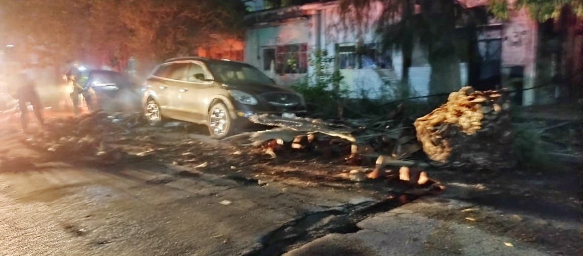 El incidente no registró daños materiales ni personas lesionadas. | Especial