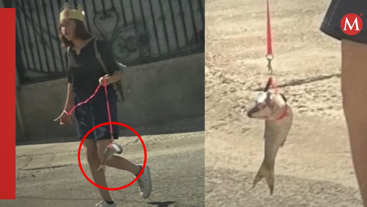 Mujer paseando a un pez es criticada. | ESPECIAL