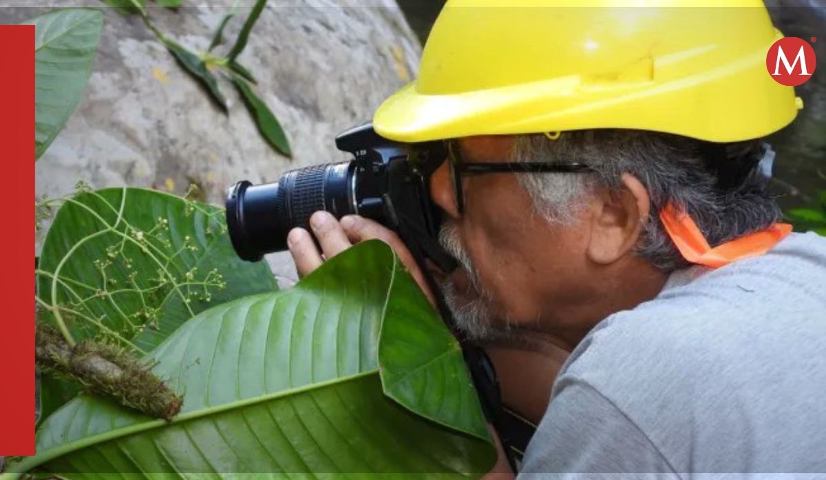 El decubrimiento lo informo el Instituto Nacional de Biodiversidad (Inabio) de Ecuador