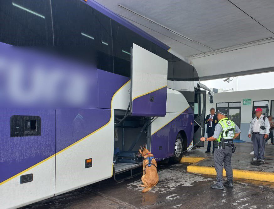 Guardia Nacional interceptó en la Central de Autobuses una maleta. (Especial)
