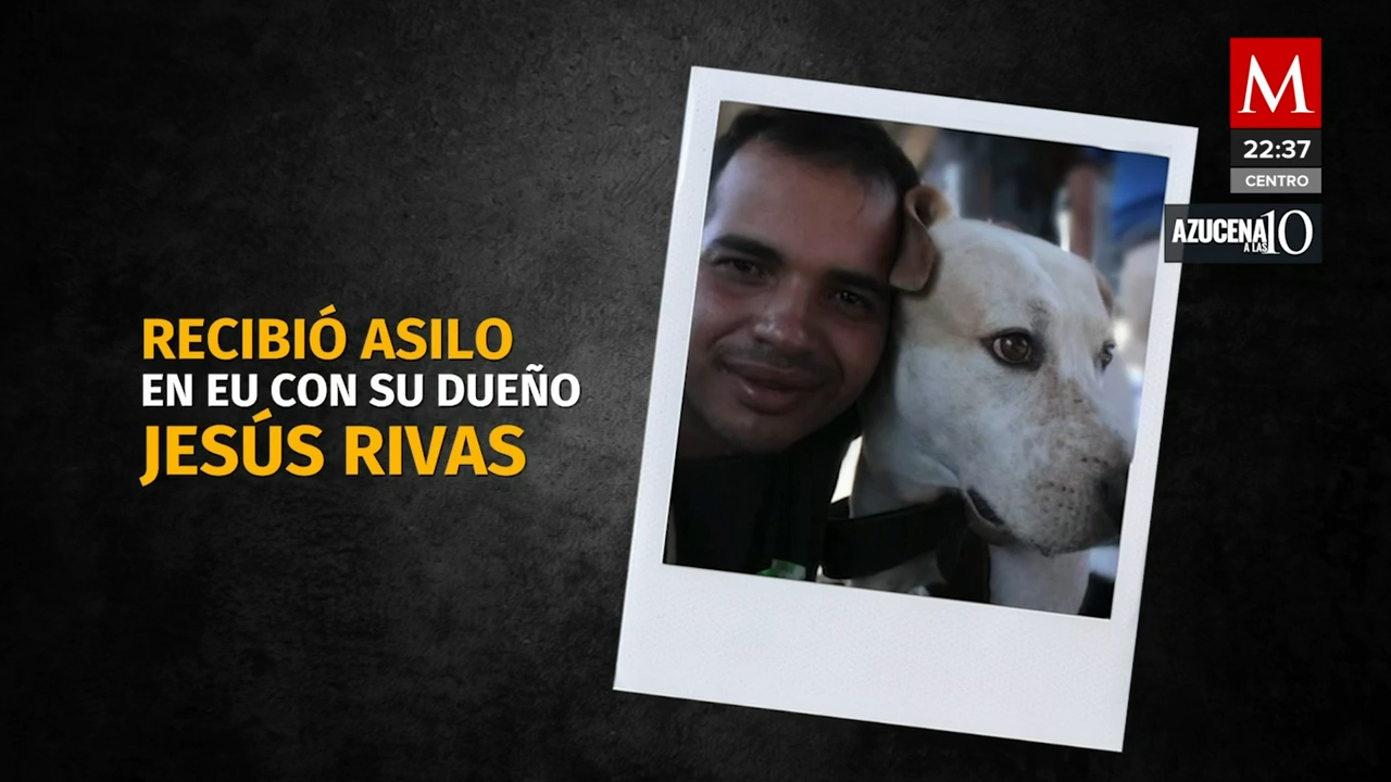 Jesús Rivas, migrante, llega con su perro Beethoven a los EU