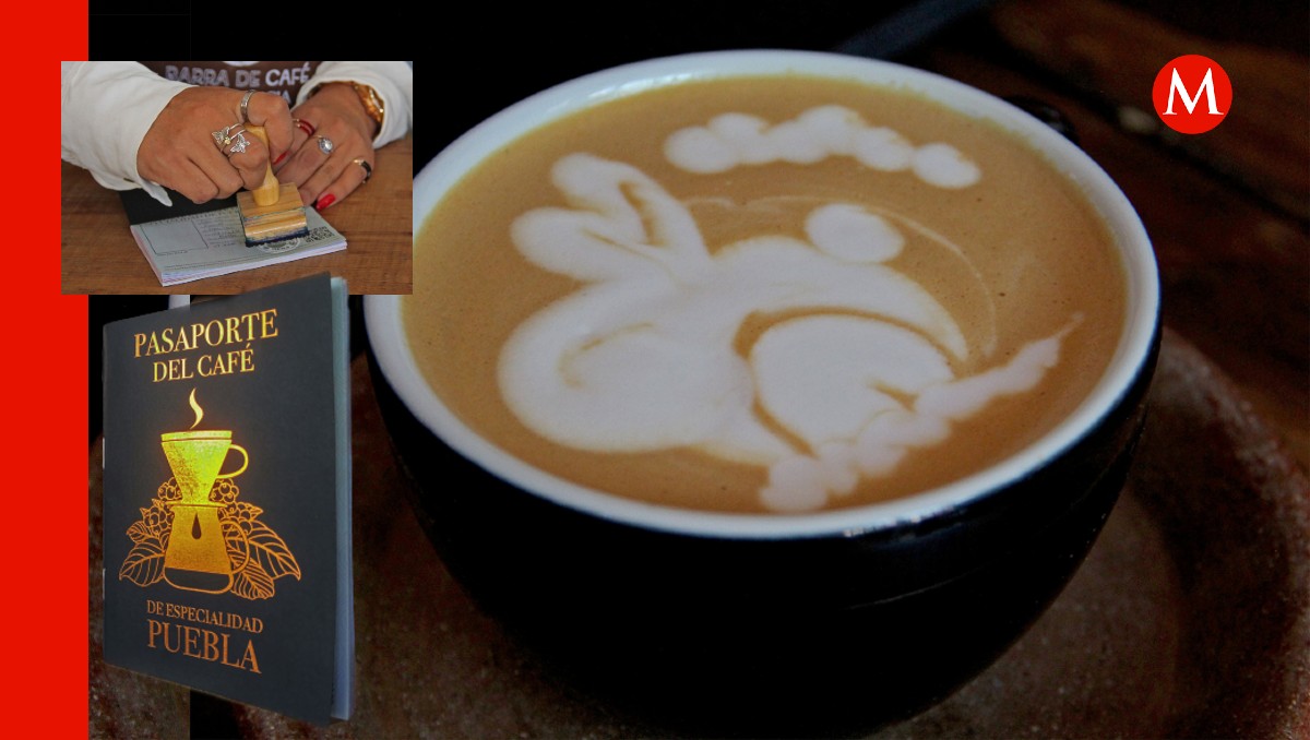 Pasaporte del Café de Especialidad en Puebla | Melanie Torres