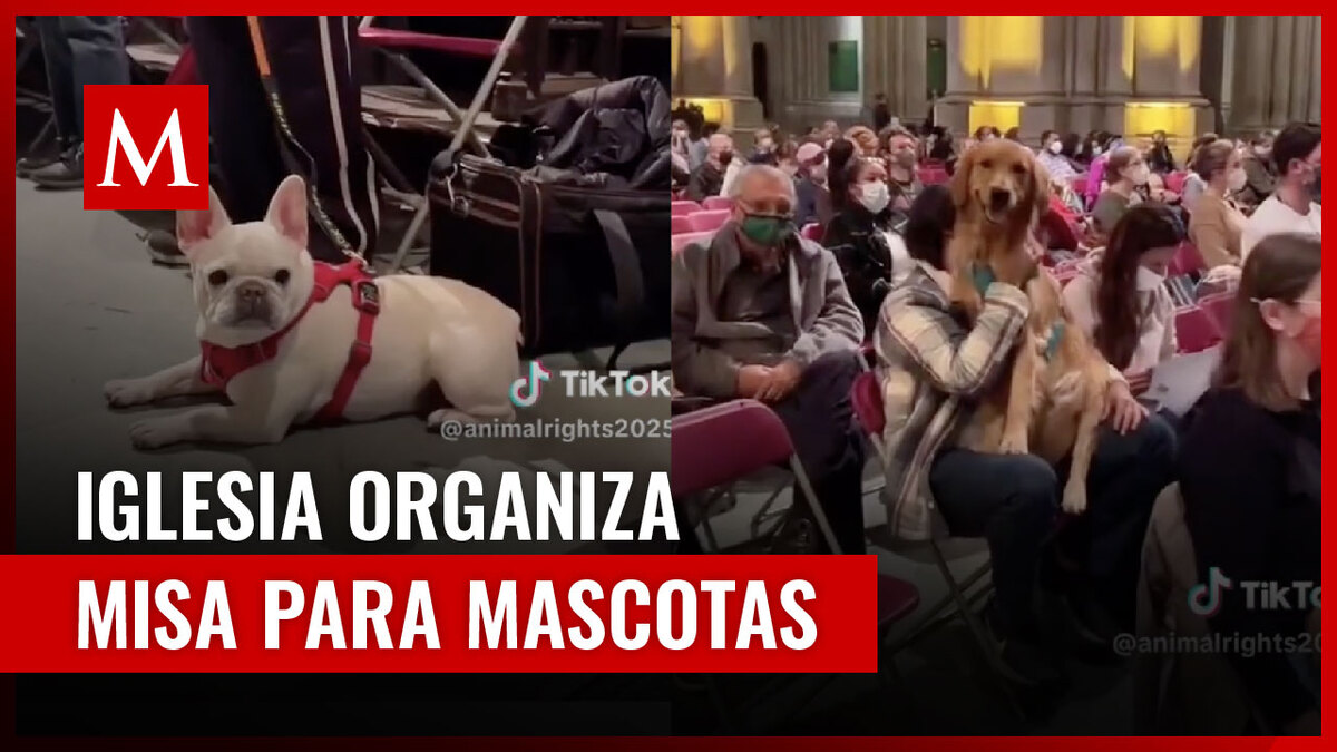 Comunidad católica se reúne en iglesia para llevar a cabo una misa para mascotas; video se viraliza