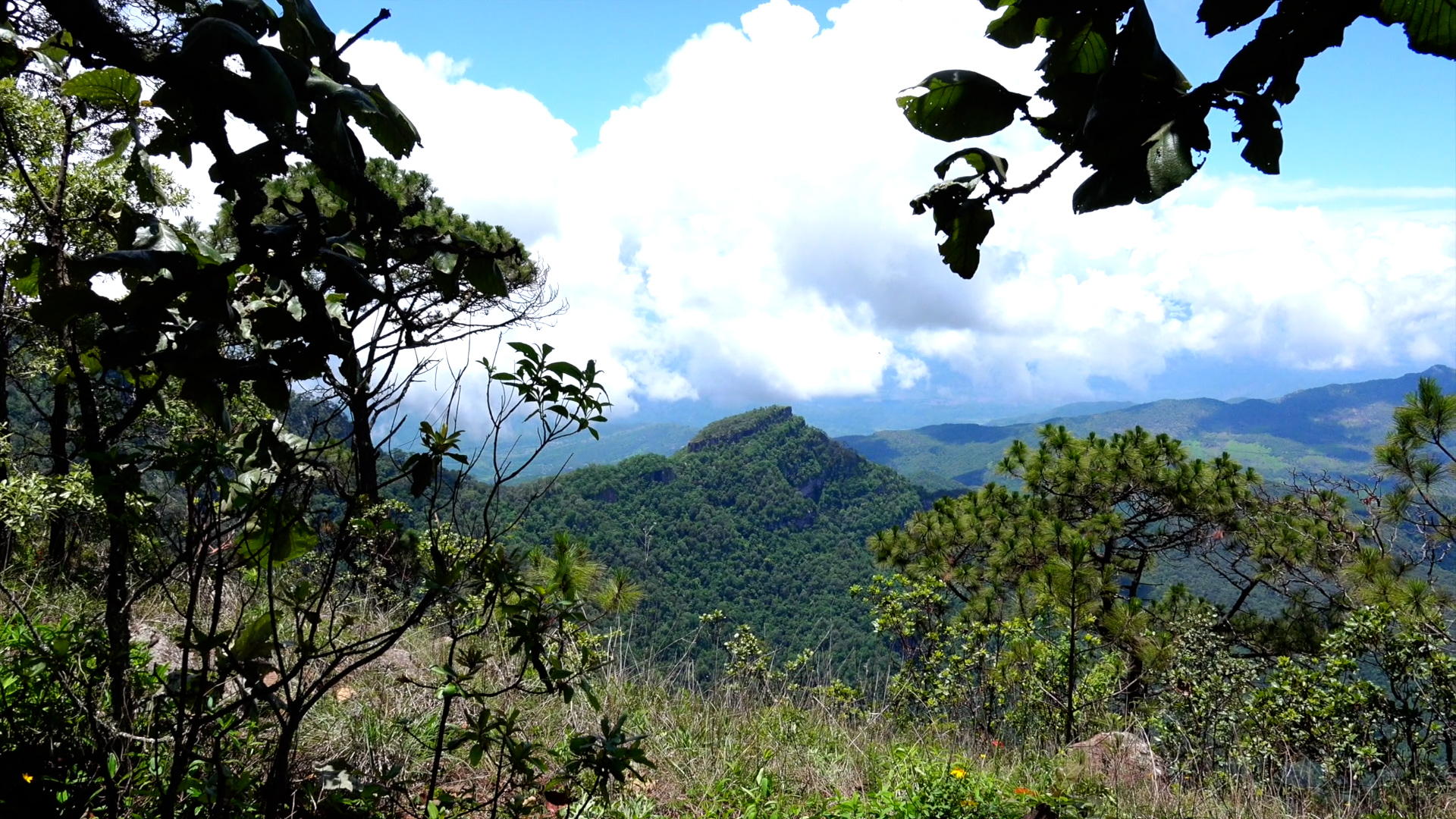 Estampas de la Sierra de Álica | Conexión Milenio