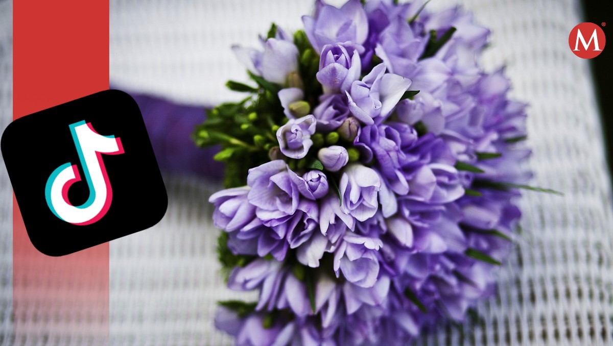 Regalar flores moradas este 9 de octubre se volvió viral en TikTok como con la tendencia de 'Floricienta'. (Pixabay)