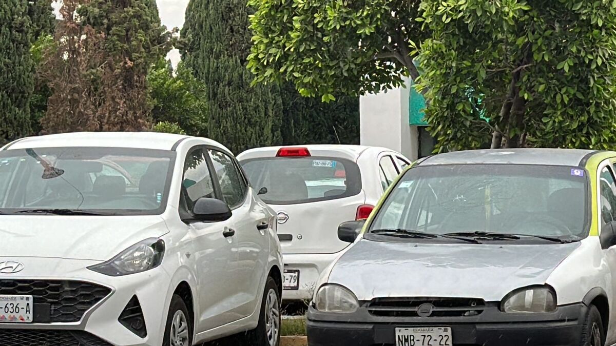 Se registra un promedio de 13 autos robados al día. | (Juan Camacho)