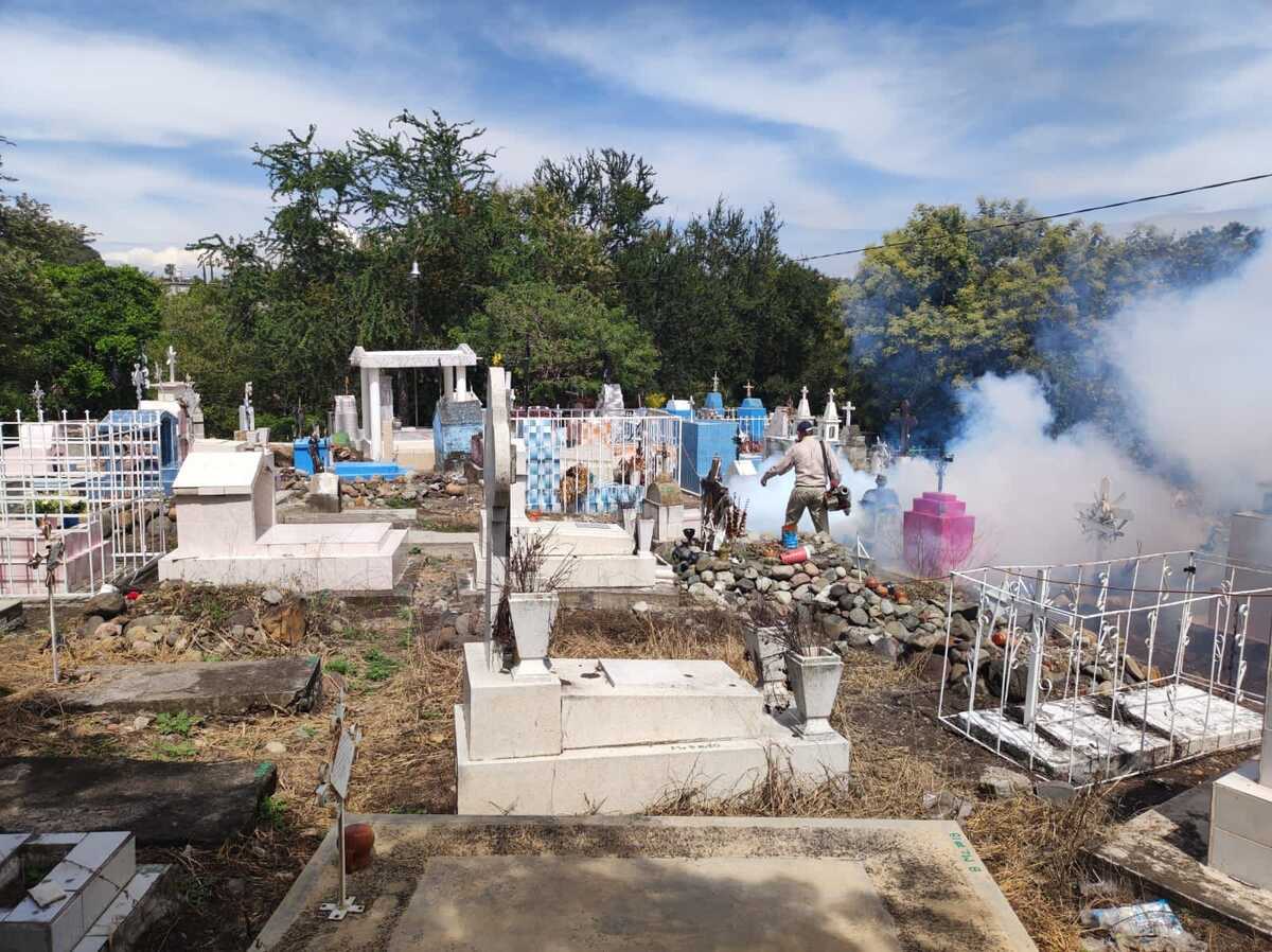 Se ha comenzado con una limpieza general de los siete panteones del municipio