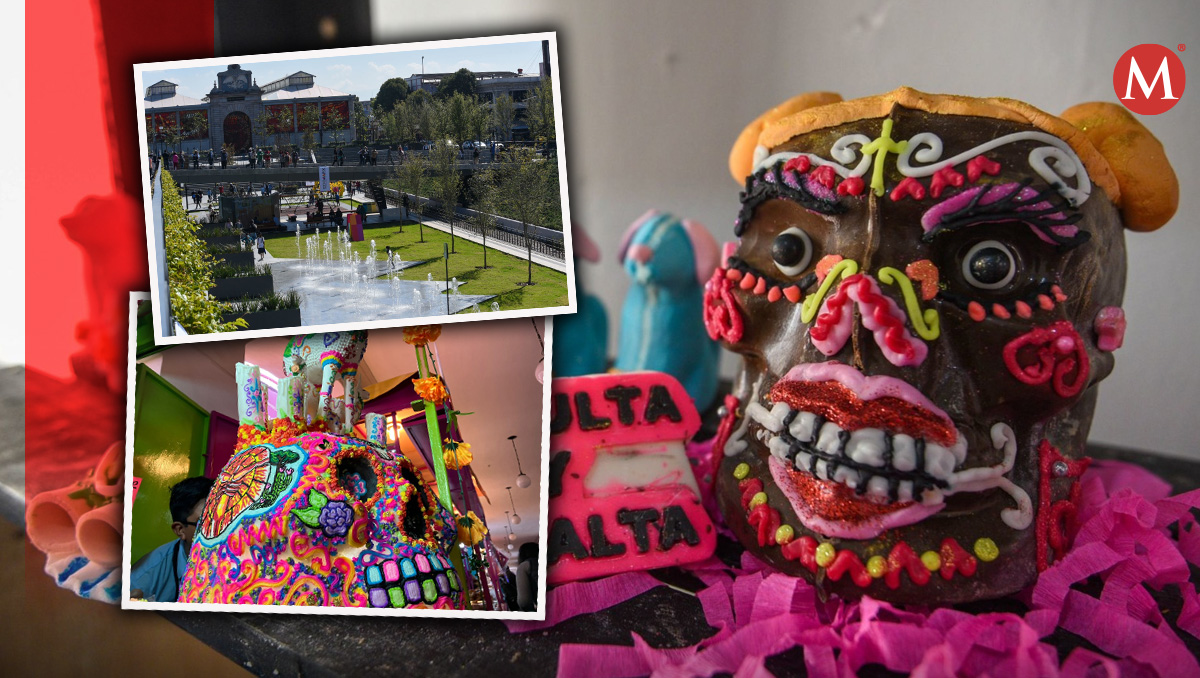 Arma tu plan para este fin de semana en Edomex | (Diseño: Milenio)