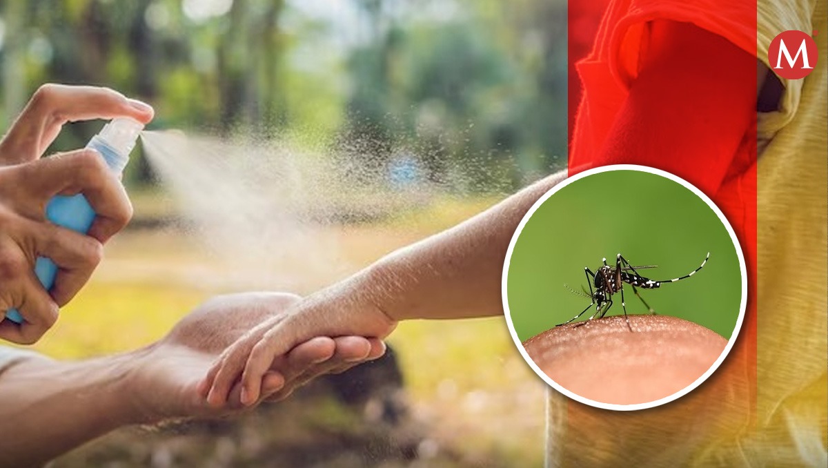 El dengue es una enfermedad causada por un virus y se transmite a las personas por la picadura del mosquito