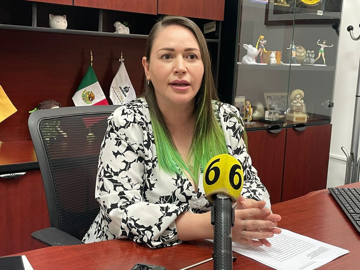 Diputada del Partido Verde en el Congreso de Jalisco pide apoyar a Puerto Vallarta (Roberto Hurtado)