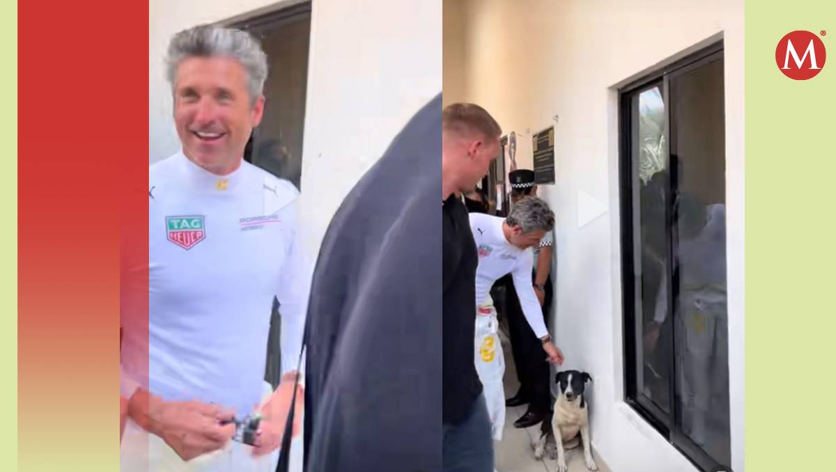 Patrick Dempsey acariciando perrito callejero