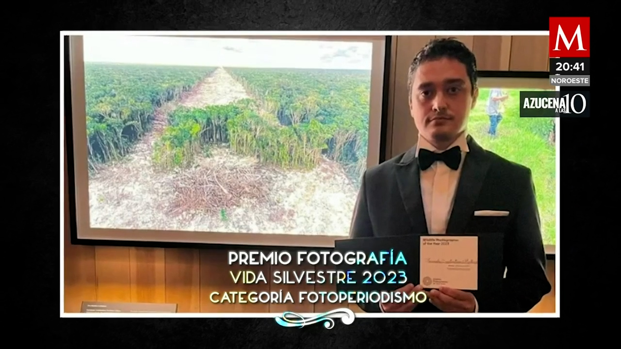 Museo de Historia Natural de Londres premia a mexicano por imagen de la deforestación del Tren Maya