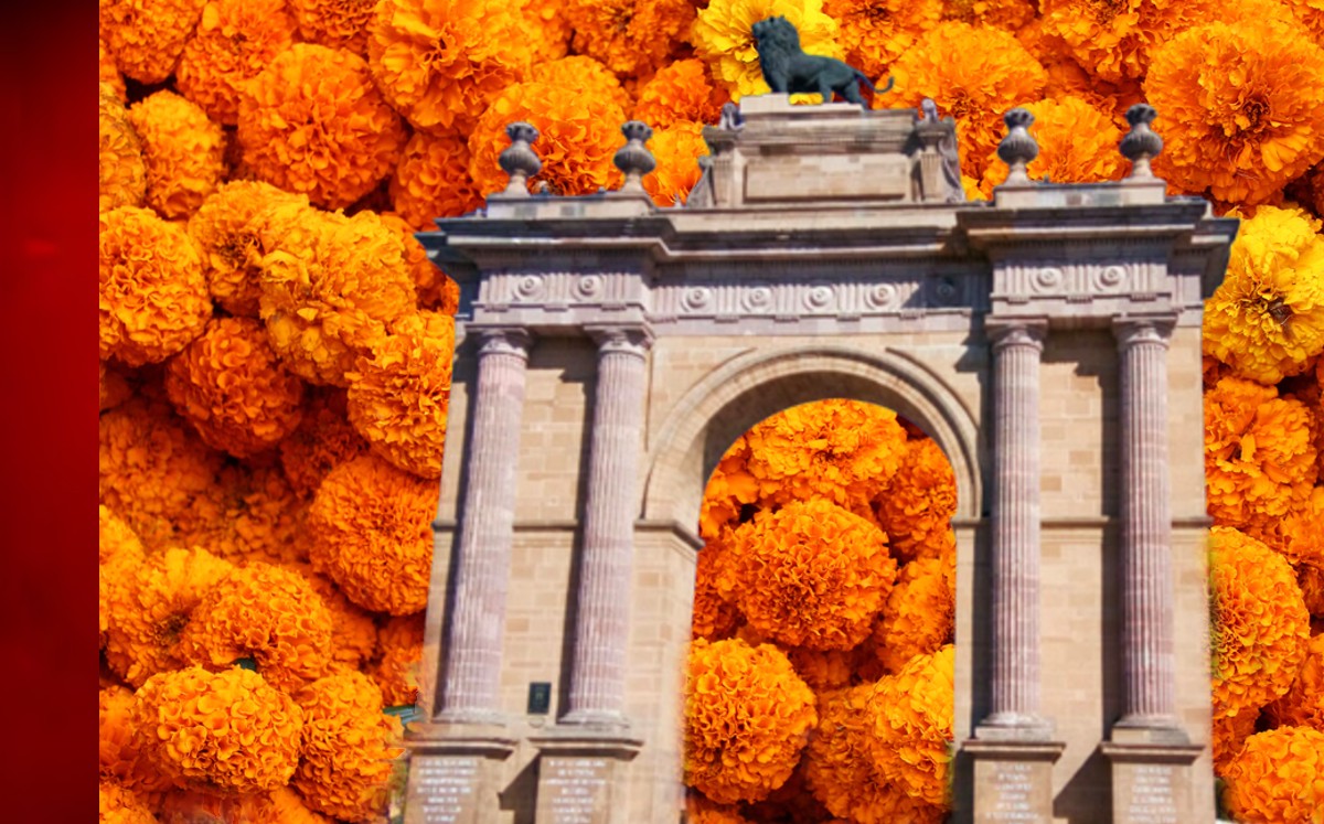 Flores de Cempasúchil en León