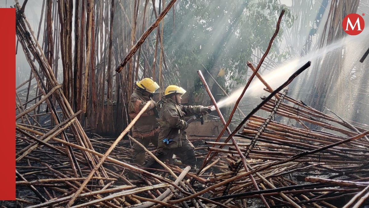 Bomberos controlan el fuego en el Parque Nacional del Jaguar | Pablo Vázquez