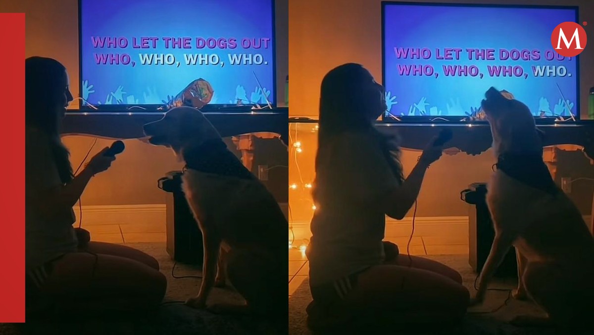 La perrita Dani no tardó en volverse viral en redes sociales.