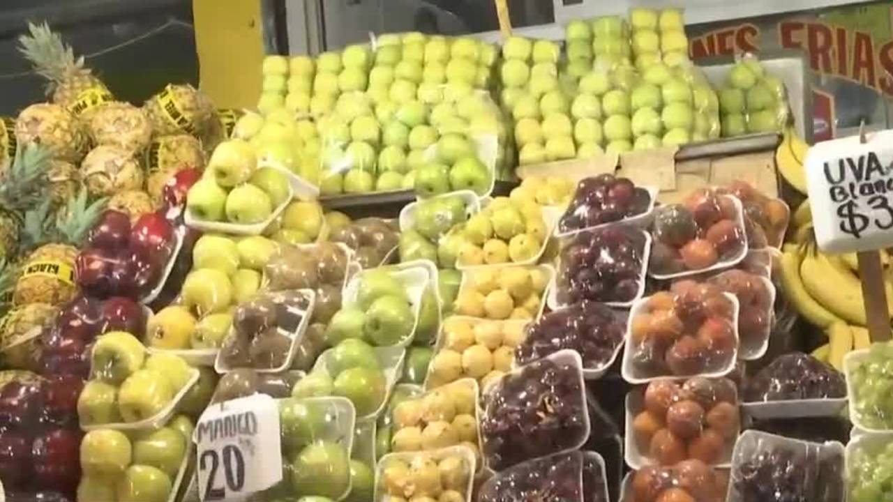 Senasica destina 180 mdp anuales para combatir plaga de la mosca de la fruta en México