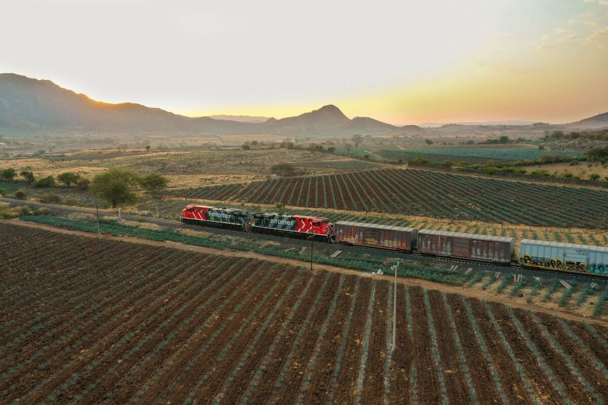 Grupo México Transportes (GMXT) 4