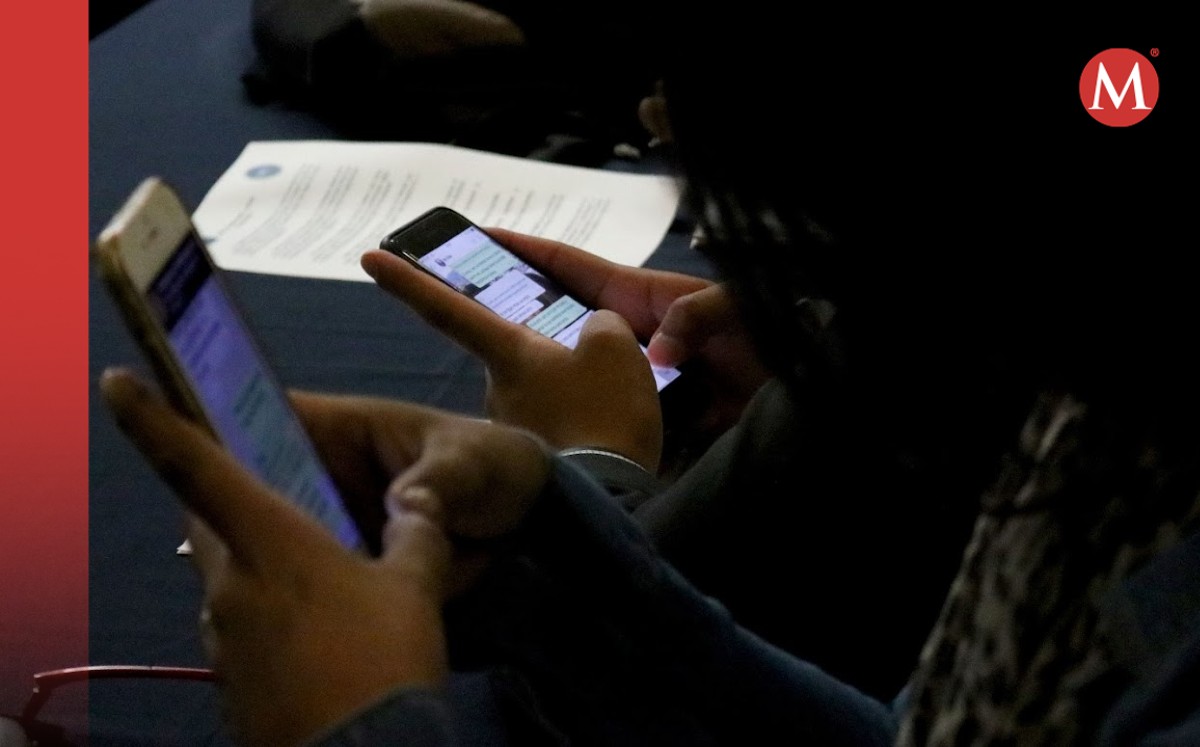 Ciberdelitos en Guanajuato: detectan 61 sitios ilegales en internet
