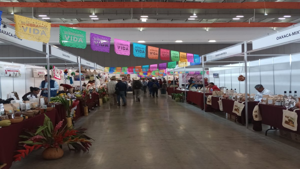 Presentan Expo Sistemas Cafetaleros con más mil expositores en Puebla | Abigail García