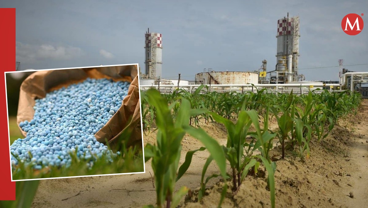 Tamaulipas contará con una planta de fertilizantes.