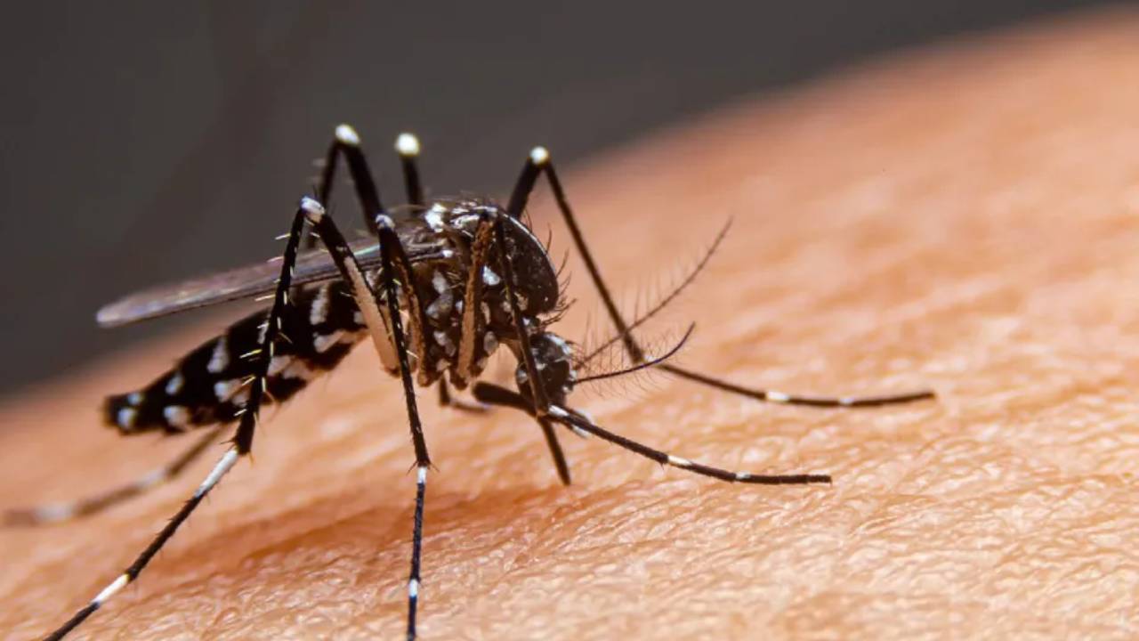 Campaña de fumigación en Oaxaca contra el dengue provoca enfermedades a estudiantes