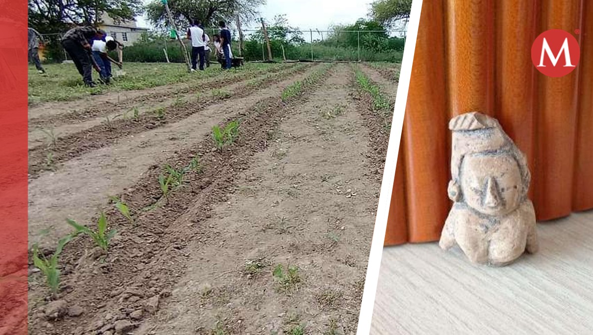 Encuentran pieza arqueológica en escuela del norte de Veracruz