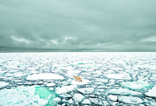 La Agencia de Protección Ambiental tiene 100 mil mdd para apoyar inversiones verdes. BJ Kirschhoffer/AP