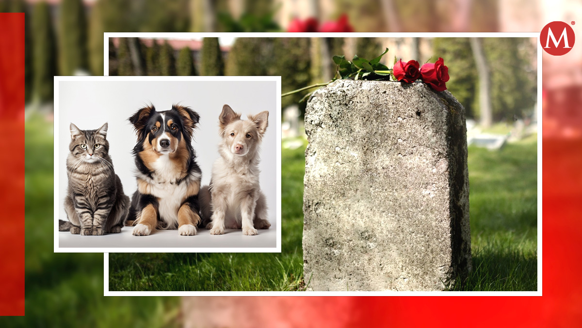 Cementerio para mascotas. conoce su ubicación en la CdMx
