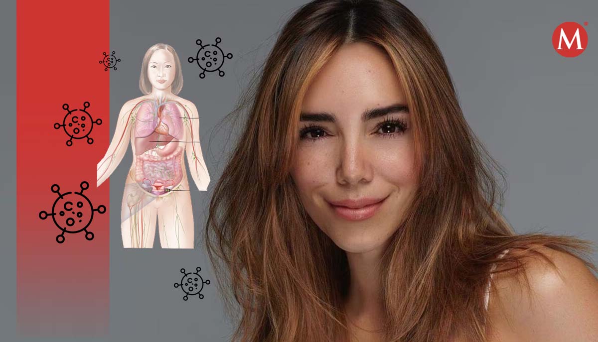 Conoce los tipos de cáncer germinal y cómo se desarrolla está enfermedad | MILENIO
